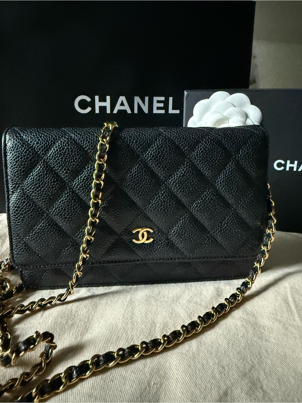 CHANEL Black Quilted Caviar Leather with Gold Hardware - Picture 1 of 13